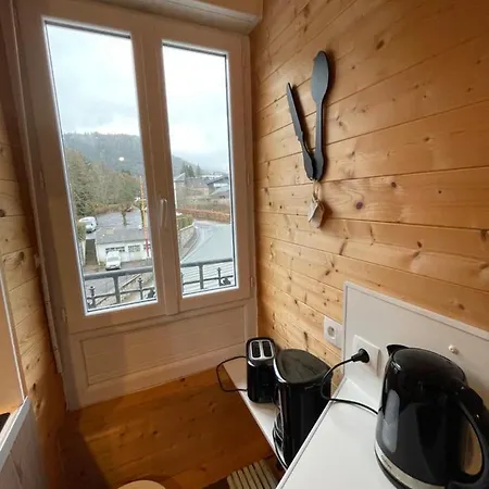 Appt Lumineux Centre Du Dore Vue Sancy Apartment *