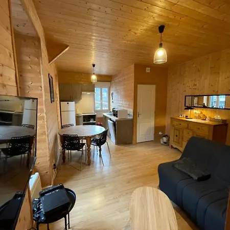 Appt Lumineux Centre Du Dore Vue Sancy Apartment *